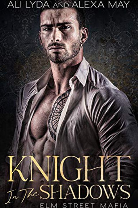 Knight In The Shadows