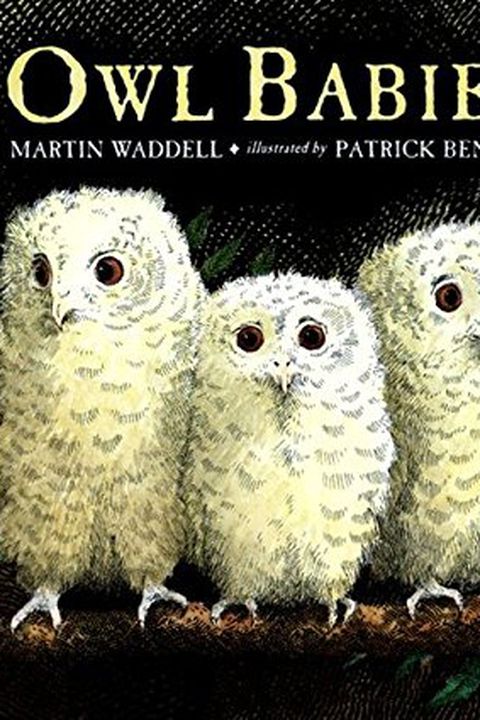 Owl Babies