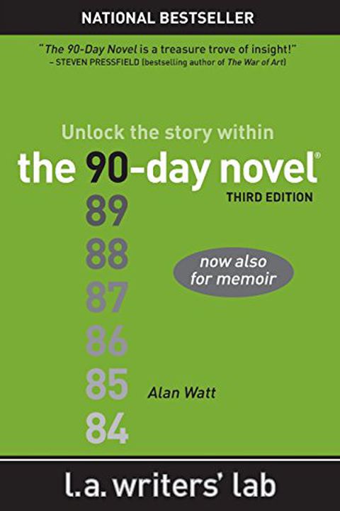 Book cover for “The 90Day Novel”