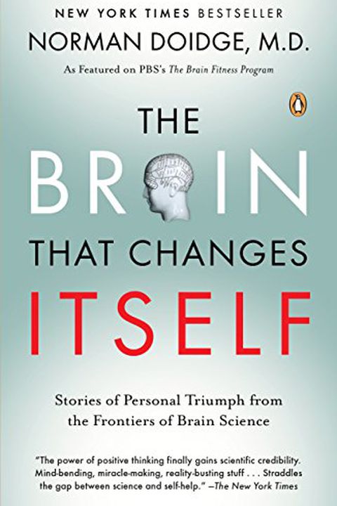 The Brain That Changes Itself