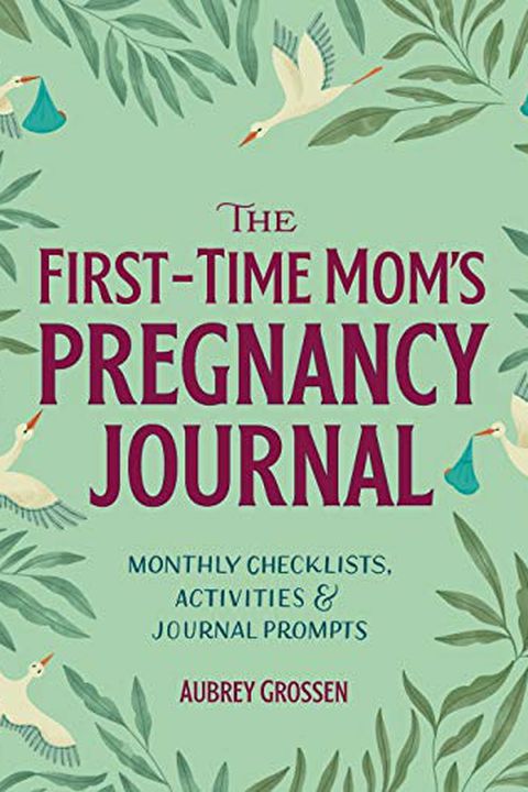 Book cover for “The FirstTime Mom's Pregnancy Journal”