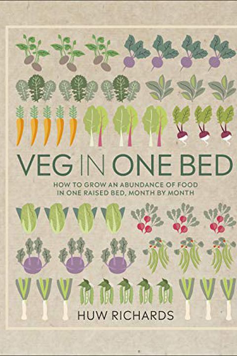 Book cover for “Veg in One Bed”